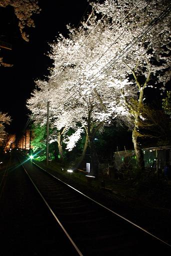 2010.4.4 京福電気鉄道 夜桜1.JPG
